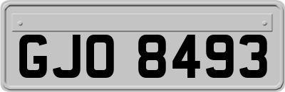 GJO8493