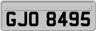 GJO8495