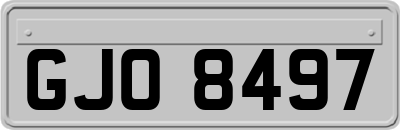 GJO8497