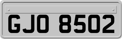 GJO8502