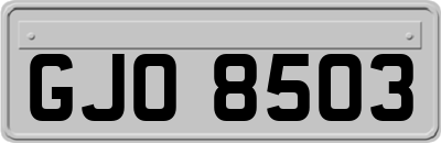 GJO8503