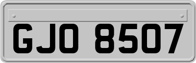 GJO8507