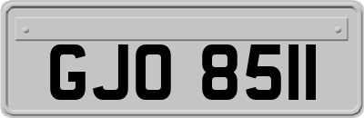 GJO8511