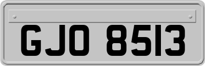 GJO8513