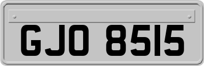 GJO8515