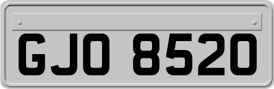 GJO8520