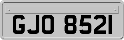 GJO8521