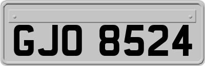 GJO8524