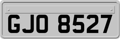 GJO8527
