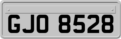 GJO8528