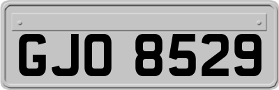 GJO8529