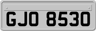 GJO8530