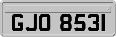 GJO8531