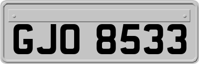 GJO8533