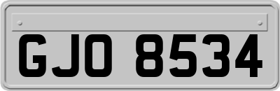 GJO8534