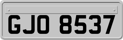 GJO8537
