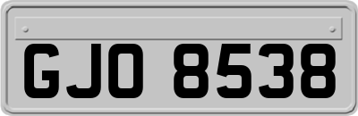GJO8538