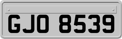 GJO8539