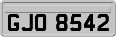 GJO8542