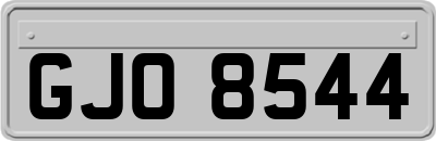 GJO8544