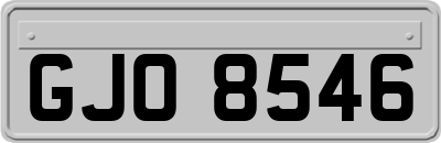 GJO8546