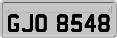 GJO8548