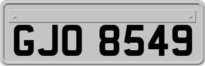GJO8549