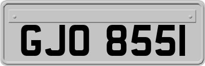 GJO8551