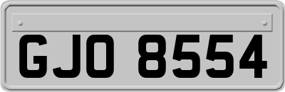 GJO8554