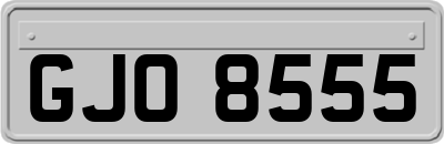 GJO8555