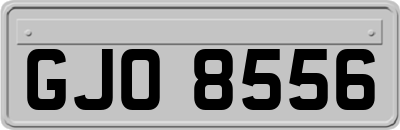 GJO8556