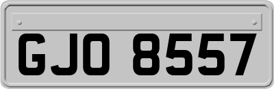 GJO8557