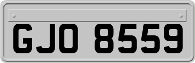 GJO8559