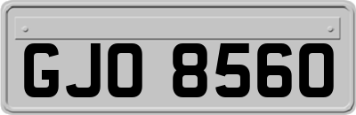 GJO8560