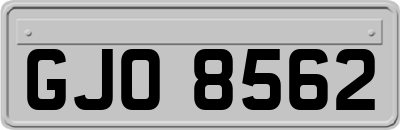 GJO8562