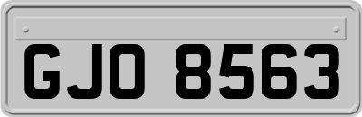 GJO8563