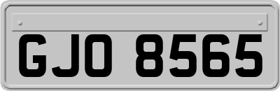 GJO8565