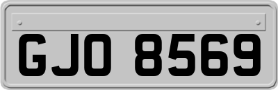 GJO8569