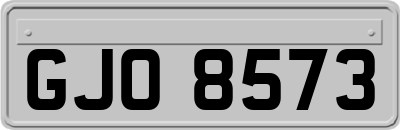 GJO8573