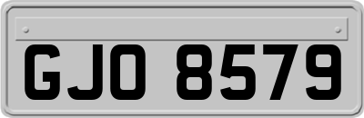 GJO8579