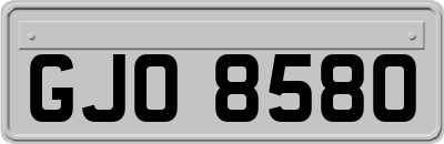 GJO8580