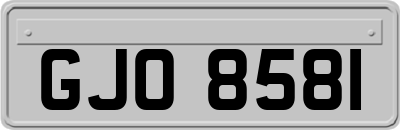 GJO8581