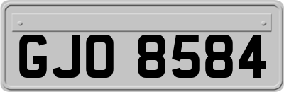 GJO8584