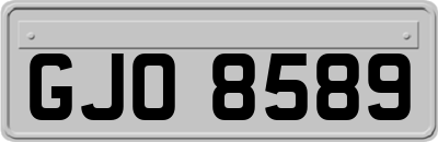 GJO8589