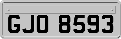 GJO8593