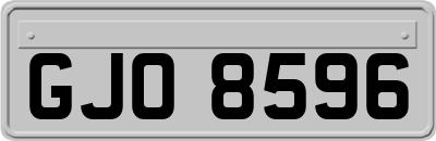 GJO8596