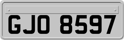 GJO8597