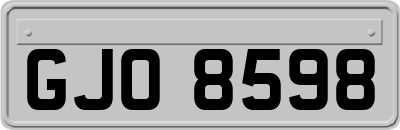 GJO8598