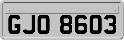 GJO8603