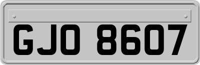 GJO8607